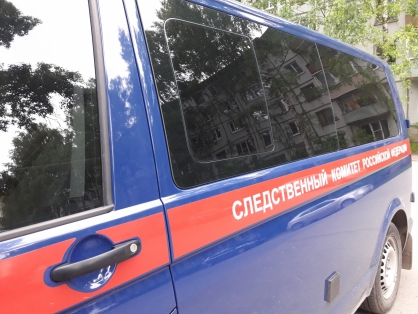 В деревне под Великим Устюгом после пожара нашли останки двух человек 