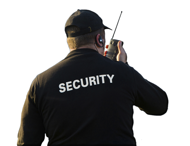 Происшествия, задержания, расследования